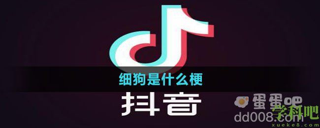 细狗是什么梗
