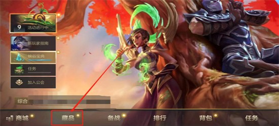 英雄联盟手游已拥有的英雄在什么地方看-手游已拥有的英雄查看方法介绍