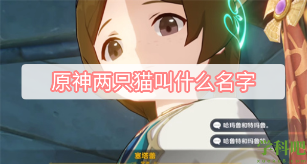 原神两只猫叫什么名字(塞塔蕾的猫名字答案一览) 第1张 原神两只猫叫什么名字(塞塔蕾的猫名字答案一览)