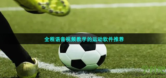 全程语音视频教学的运动软件推荐