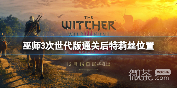 《巫师3次世代》通关后特莉丝位置详情
