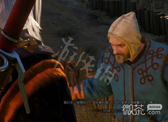 《巫师3》次世代版异乡人任务完成教程