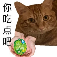 Q宠大乐斗_图片