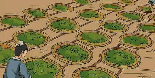 天涯明月刀手游茶叶在什么地方？天涯明月刀攻略介绍