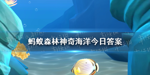 神奇海洋12月7日答案红树林中活着大量螃蟹,它们之间是图片1
