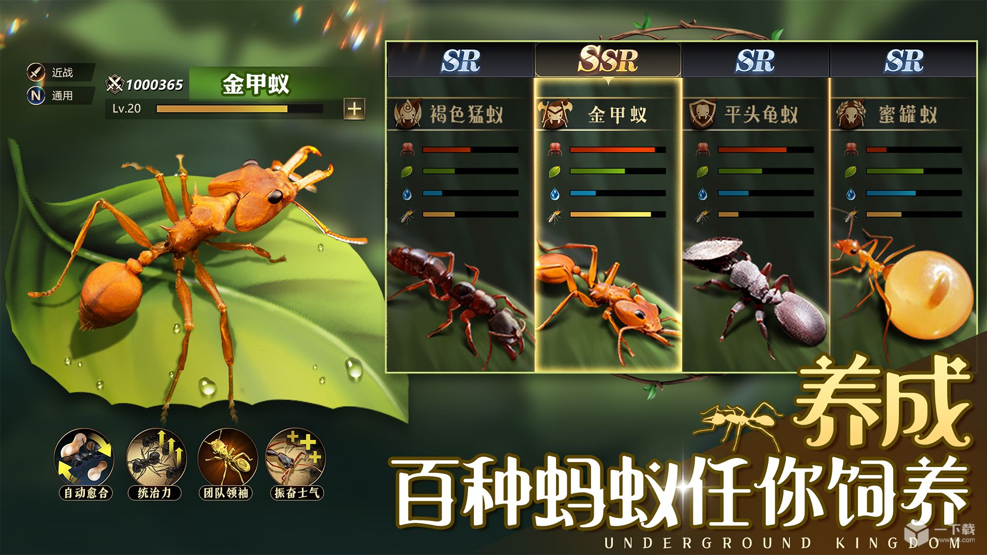 小小蚁国特化蚁培养攻略