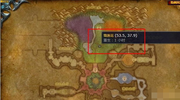 魔兽世界雪莲花在哪采集 魔兽世界wlk雪莲花采集位置一览