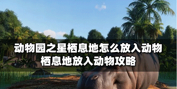 动物园之星栖息地动物是怎么放入的 放入动物方法