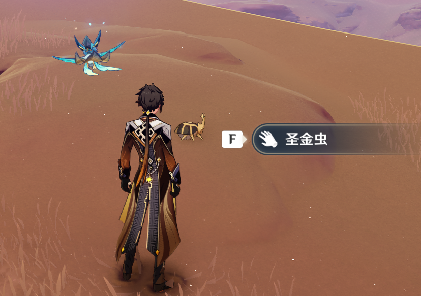 原神圣金虫在哪里？原神3.1圣金虫分布位置