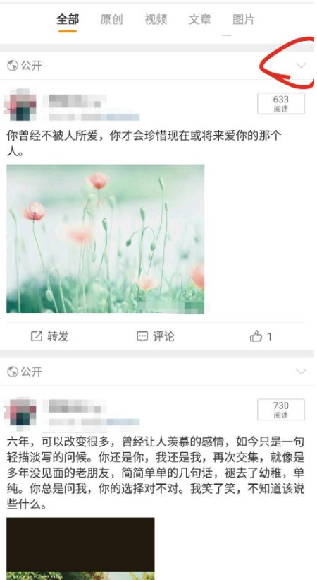 微博怎么设置不让别人看我的微博?微博设置不让别人看我的微博的方法
