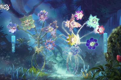 《妄想山海》巨嗜狂花版本介绍