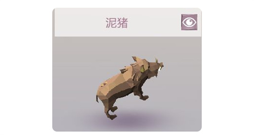 艾兰岛动物大全 动物有哪些
