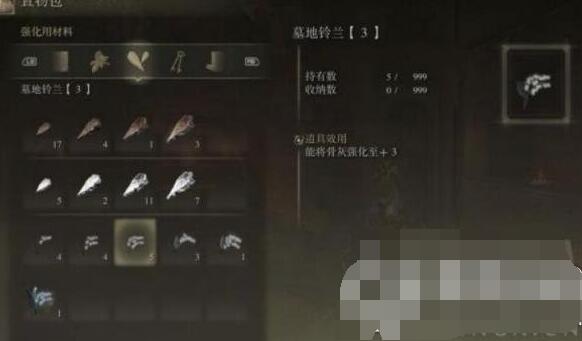艾尔登法环双贤魔法师的骨灰怎么获取 艾尔登法环双贤魔法师骨灰获取位置