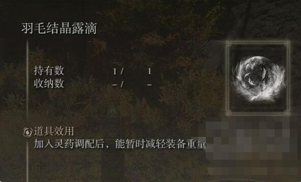 艾尔登法环滴露位效果是什么 艾尔登法环老头环全滴露效果介绍