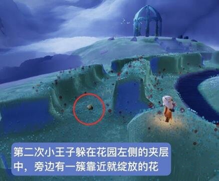 光遇小王子捉迷藏在哪里？光遇小王子躲藏位置