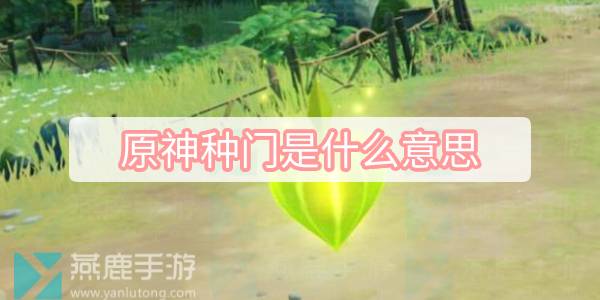 原神种门是什么意思 原神种门含义配队介绍