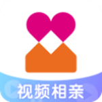 百合婚恋app最新版下载安装