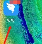 钉钉怎么下载安全白皮书 钉钉下载安全白皮书的方法