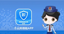 个人所得税app怎么查询工资明细 个人所得税app查询工资明细方法