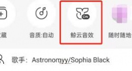 网易云音乐专属音效在哪定制 网易云音乐专属音效定制方法分享