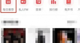 网易云音乐怎么评价日推 网易云音乐评价日推的方法