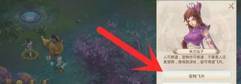 问道宠物飞升方法 问道宠物飞升方法