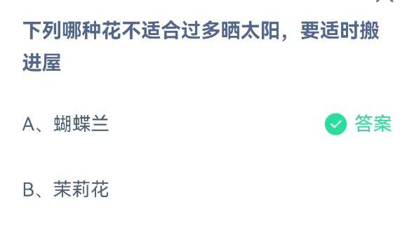 《蚂蚁庄园》列哪种花不适合过多晒太阳,要适时搬进屋 5月18日