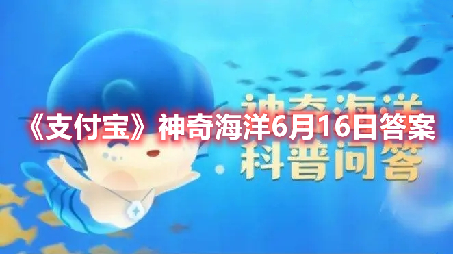 《支付宝》神奇海洋6月16日答案