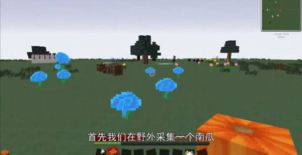 我的世界南瓜种子怎么种 我的世界南瓜种子怎么种