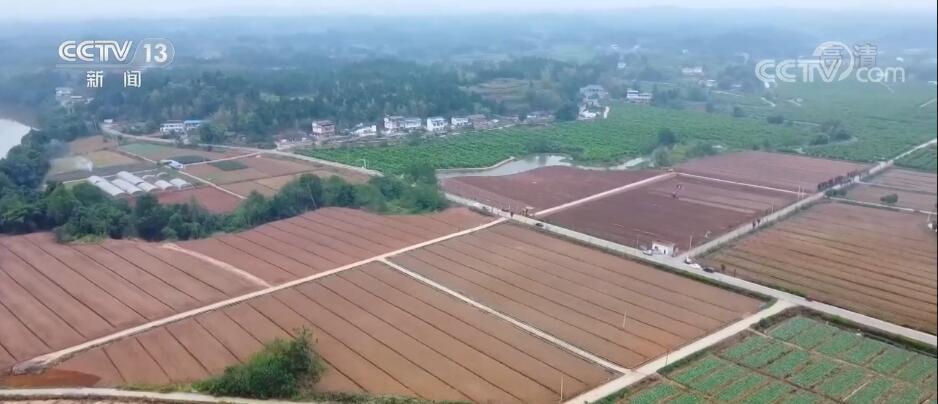 耕种管收全程机械化作业 助力油菜播种提质增效