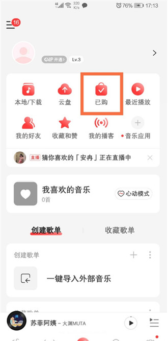 网易云音乐如何查看已购单曲 网易云音乐查看已购单曲步骤