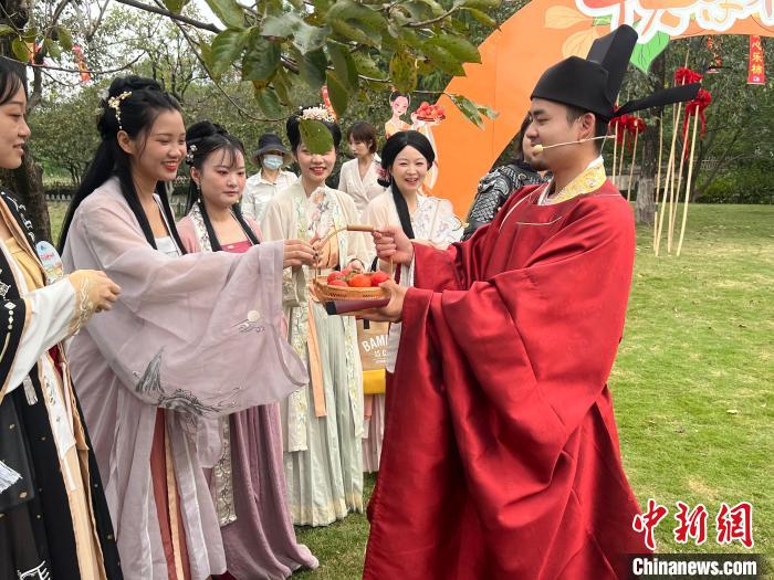 西溪火柿节启幕 7000多棵柿树绘火柿映波秋西溪美卷