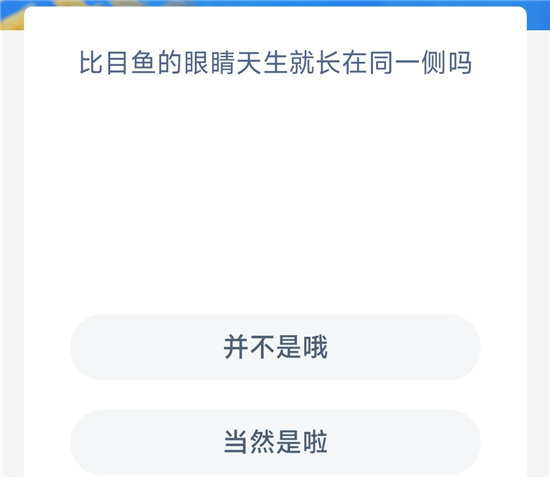《神奇海洋》10.28比目鱼的眼睛天生就长在同一侧吗