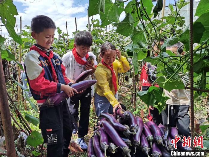 开设蔬菜栽种、动物饲养课 云南一小学实现三餐自给自足