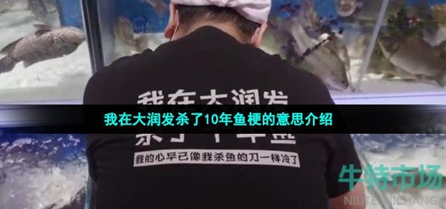 我在大润发杀了10年鱼梗的意思介绍