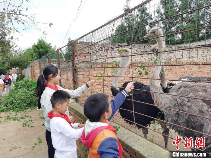 开设蔬菜栽种、动物饲养课 云南一小学实现三餐自给自足