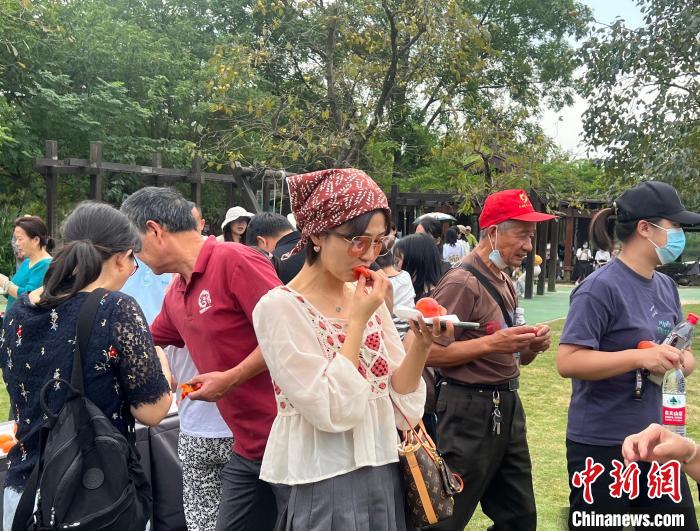 西溪火柿节启幕 7000多棵柿树绘火柿映波秋西溪美卷