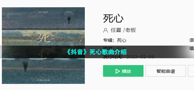 《抖音》死心歌曲介绍