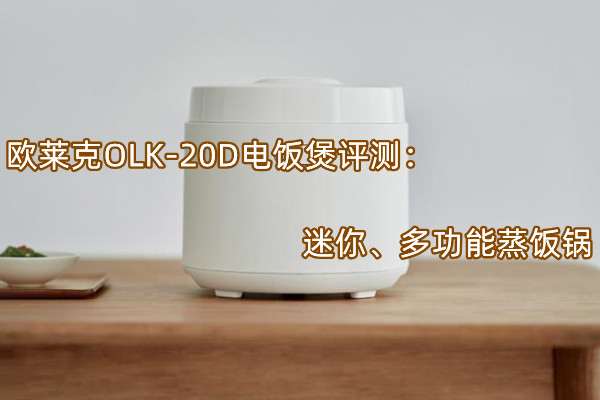 欧莱克OLK-20D电饭煲首发测评：迷你、多功能蒸饭锅