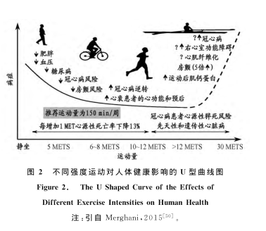 又一商界精英猝死 华为痛失核心高管：28.55公里长跑是真凶吗？