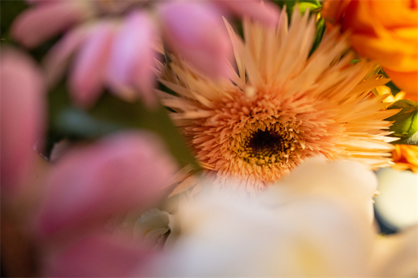 佳能RF24mm F1.8曝光！官方：大光圈与高画质 带来更好的拍照体验