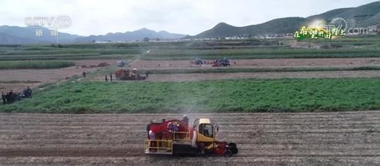 马铃薯进入收获季 按质分拣物尽其用
