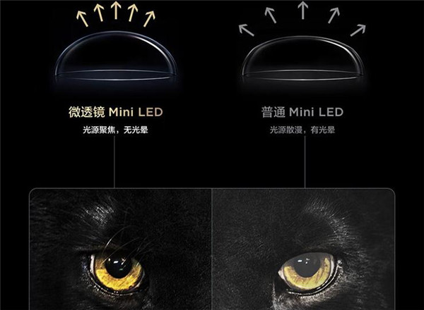 TCL 98Q10G电视首发测评：2022年最值得买的Mini LED电视