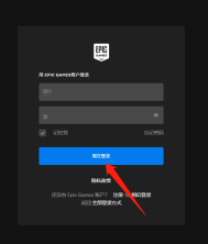 EPIC游戏平台登录按钮一直加载怎么办？EPIC游戏平台登录按钮一直加载的解决方法截图