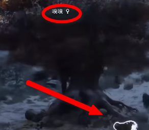 霍格沃茨之遗嗅嗅在哪里?霍格沃茨之遗找到嗅嗅的操作方法截图