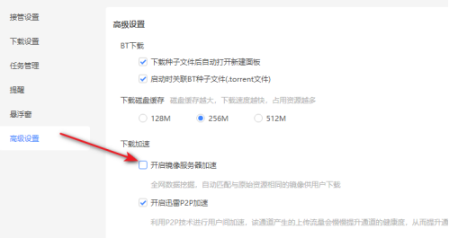 迅雷11镜像服务加速器的开关在哪里?迅雷11打开镜像服务加速器的方法截图
