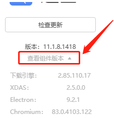 迅雷11如何查看组件版本?迅雷11查看组件版本的方法截图