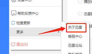 迅雷11如何查看组件版本?迅雷11查看组件版本的方法截图