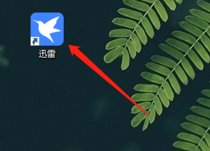 迅雷11如何查看组件版本?迅雷11查看组件版本的方法