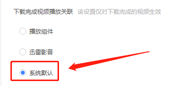 迅雷11如何设置使用系统默认播放器？迅雷11设置使用系统默认播放器的方法截图